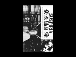 Portfolio of Matt Scott Barnes // mattscottbarnes.com