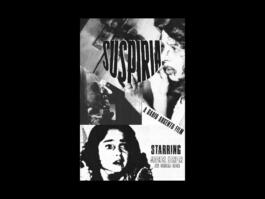 Portfolio of Matt Scott Barnes // mattscottbarnes.com