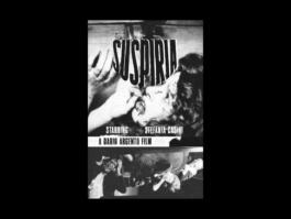 Portfolio of Matt Scott Barnes // mattscottbarnes.com