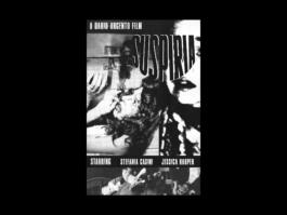 Portfolio of Matt Scott Barnes // mattscottbarnes.com