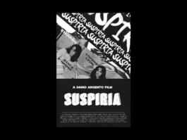 Portfolio of Matt Scott Barnes // mattscottbarnes.com