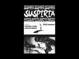 Portfolio of Matt Scott Barnes // mattscottbarnes.com