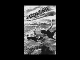 Portfolio of Matt Scott Barnes // mattscottbarnes.com