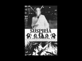 Portfolio of Matt Scott Barnes // mattscottbarnes.com