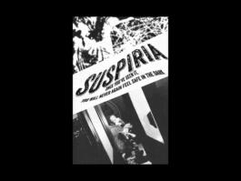 Portfolio of Matt Scott Barnes // mattscottbarnes.com