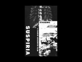 Portfolio of Matt Scott Barnes // mattscottbarnes.com