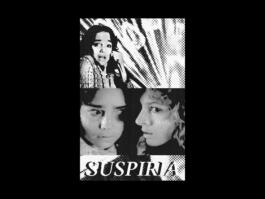 Portfolio of Matt Scott Barnes // mattscottbarnes.com