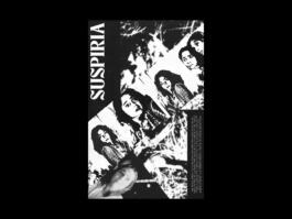 Portfolio of Matt Scott Barnes // mattscottbarnes.com