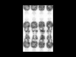 Portfolio of Matt Scott Barnes // mattscottbarnes.com