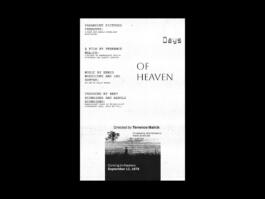 Portfolio of Matt Scott Barnes // mattscottbarnes.com