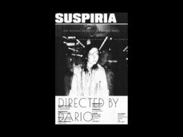 Portfolio of Matt Scott Barnes // mattscottbarnes.com