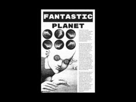 Portfolio of Matt Scott Barnes // mattscottbarnes.com