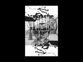 Portfolio of Matt Scott Barnes // mattscottbarnes.com