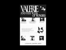 Portfolio of Matt Scott Barnes // mattscottbarnes.com