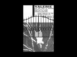 Portfolio of Matt Scott Barnes // mattscottbarnes.com