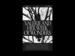 Portfolio of Matt Scott Barnes // mattscottbarnes.com