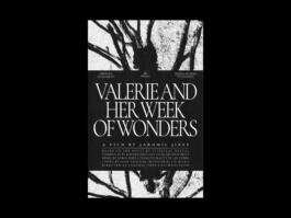 Portfolio of Matt Scott Barnes // mattscottbarnes.com