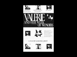 Portfolio of Matt Scott Barnes // mattscottbarnes.com