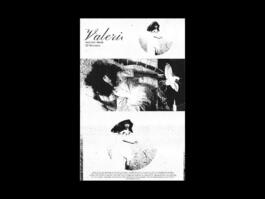 Portfolio of Matt Scott Barnes // mattscottbarnes.com