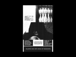 Portfolio of Matt Scott Barnes // mattscottbarnes.com