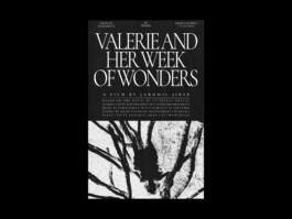 Portfolio of Matt Scott Barnes // mattscottbarnes.com