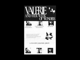 Portfolio of Matt Scott Barnes // mattscottbarnes.com