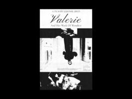 Portfolio of Matt Scott Barnes // mattscottbarnes.com