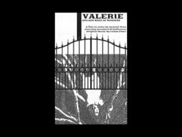 Portfolio of Matt Scott Barnes // mattscottbarnes.com