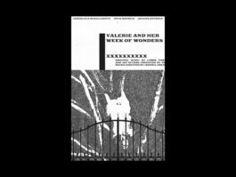 Portfolio of Matt Scott Barnes // mattscottbarnes.com