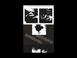 Portfolio of Matt Scott Barnes // mattscottbarnes.com