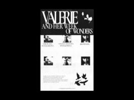 Portfolio of Matt Scott Barnes // mattscottbarnes.com