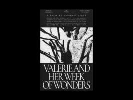 Portfolio of Matt Scott Barnes // mattscottbarnes.com