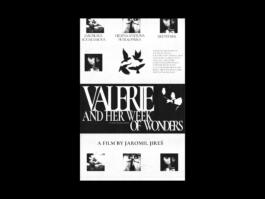 Portfolio of Matt Scott Barnes // mattscottbarnes.com