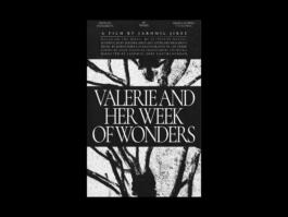 Portfolio of Matt Scott Barnes // mattscottbarnes.com