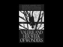 Portfolio of Matt Scott Barnes // mattscottbarnes.com