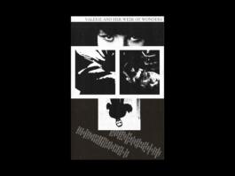 Portfolio of Matt Scott Barnes // mattscottbarnes.com