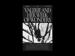 Portfolio of Matt Scott Barnes // mattscottbarnes.com