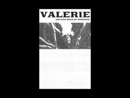 Portfolio of Matt Scott Barnes // mattscottbarnes.com