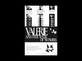 Portfolio of Matt Scott Barnes // mattscottbarnes.com