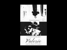 Portfolio of Matt Scott Barnes // mattscottbarnes.com