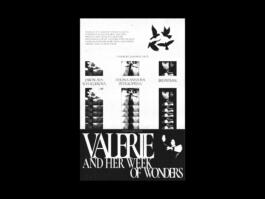 Portfolio of Matt Scott Barnes // mattscottbarnes.com