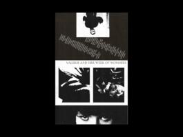 Portfolio of Matt Scott Barnes // mattscottbarnes.com