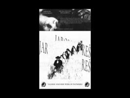 Portfolio of Matt Scott Barnes // mattscottbarnes.com