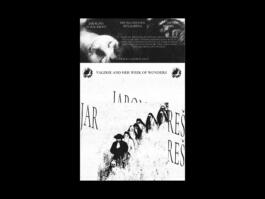 Portfolio of Matt Scott Barnes // mattscottbarnes.com