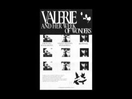 Portfolio of Matt Scott Barnes // mattscottbarnes.com