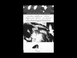 Portfolio of Matt Scott Barnes // mattscottbarnes.com