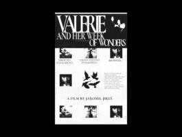 Portfolio of Matt Scott Barnes // mattscottbarnes.com