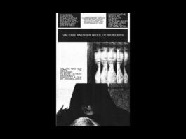 Portfolio of Matt Scott Barnes // mattscottbarnes.com