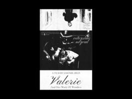 Portfolio of Matt Scott Barnes // mattscottbarnes.com