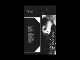 Portfolio of Matt Scott Barnes // mattscottbarnes.com